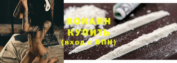 гашик Медвежьегорск