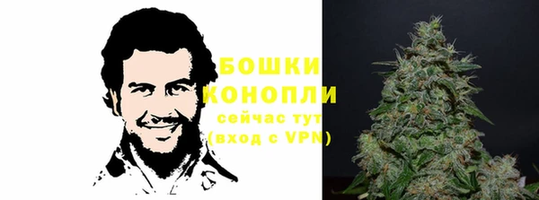 гашик Медвежьегорск