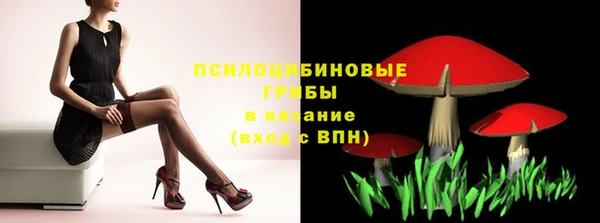 герыч Мегион