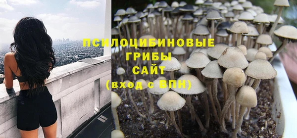 герыч Мегион