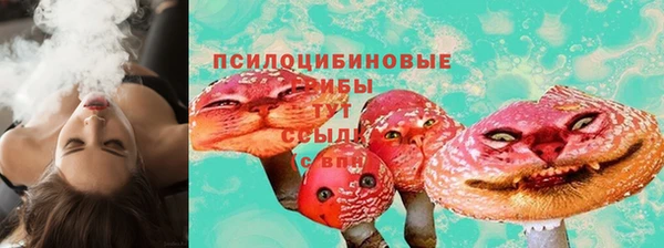 гашик Медвежьегорск