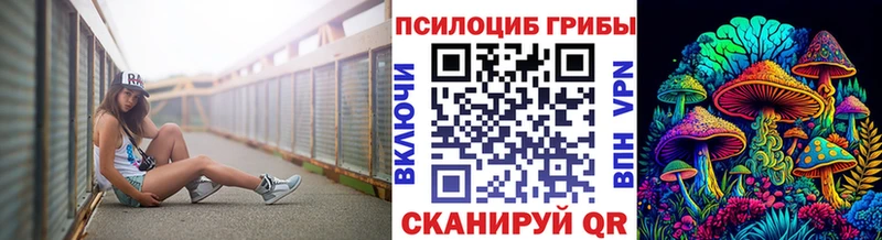 hydra   купить   Нижнекамск  Псилоцибиновые грибы мухоморы 