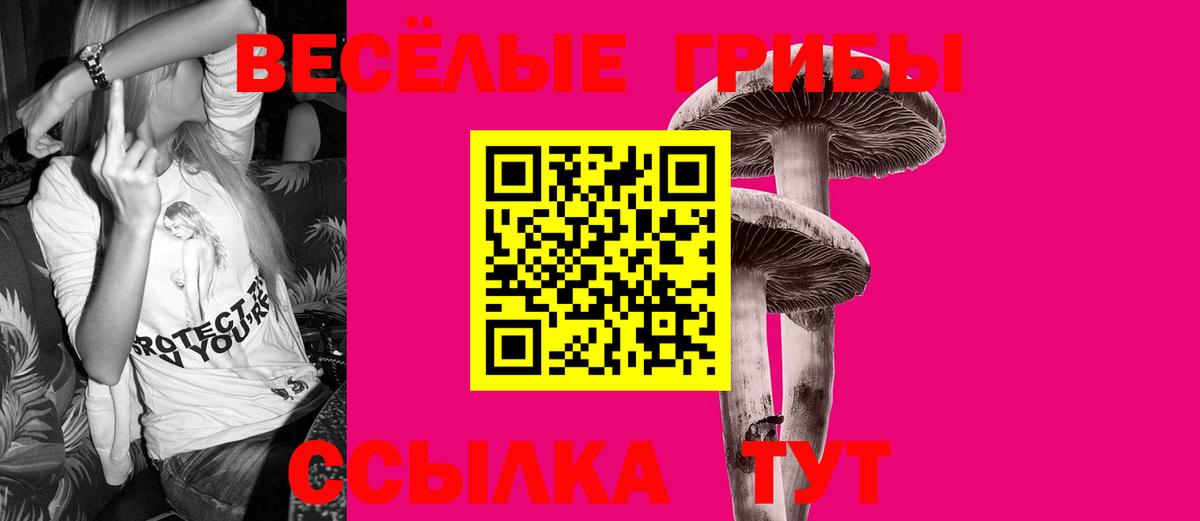 ГАШИШ  Кокаин  Нижнекамск  ТГК  Экстази  Каннабис  Меф МЯУ МЯУ кристаллы  Где купить  Вход с VPN 